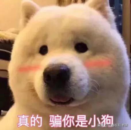 考研复习计划时间表(23考研计划安排表详细)插图1