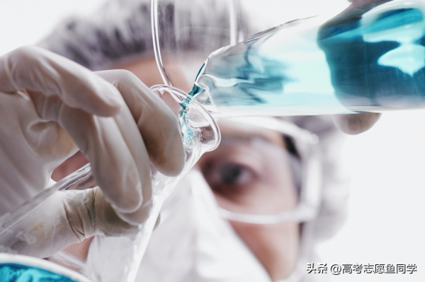 适合女生报考的十大专业有哪些(女生单招学什么专业比较好)插图