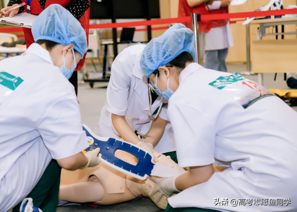 适合女生报考的十大专业有哪些(女生单招学什么专业比较好)插图1