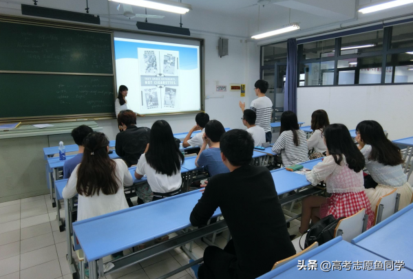 女生学什么专业最吃香(女孩适合什么专业好就业)插图
