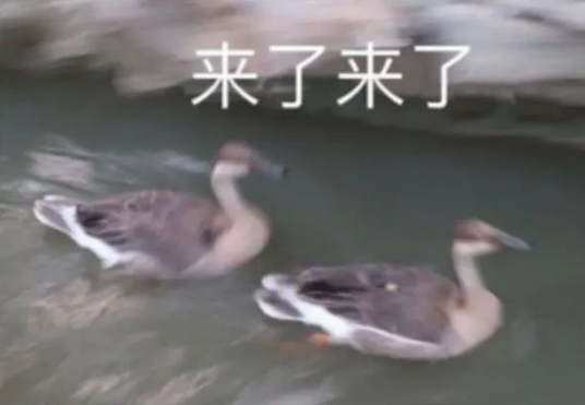 最适合女孩子报考的公务员职位有哪些(女生适合考哪类公务员)插图1