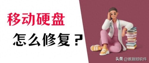 移动硬盘数据恢复收费标准(移动硬盘数据恢复大师)插图