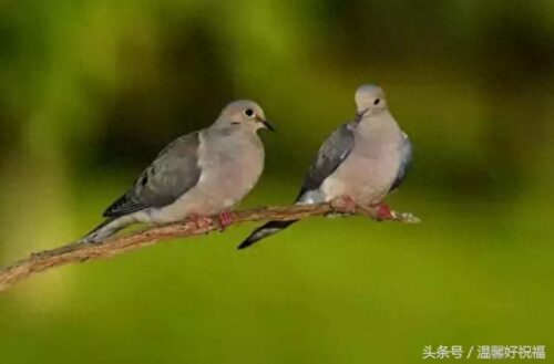 千年修得同船渡(百年修得同船渡千年修得什么)插图2