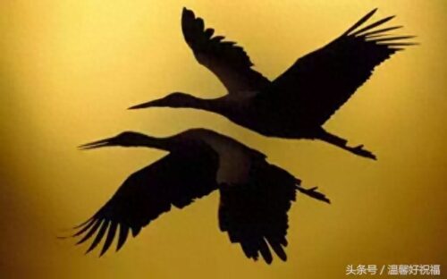 千年修得同船渡(百年修得同船渡千年修得什么)插图6