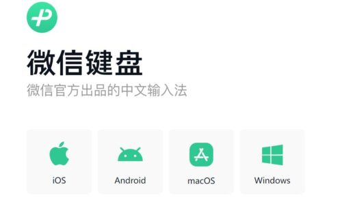 电脑最快的输入法是哪一种(电脑打字最快的人)插图1