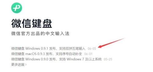 电脑最快的输入法是哪一种(电脑打字最快的人)插图2