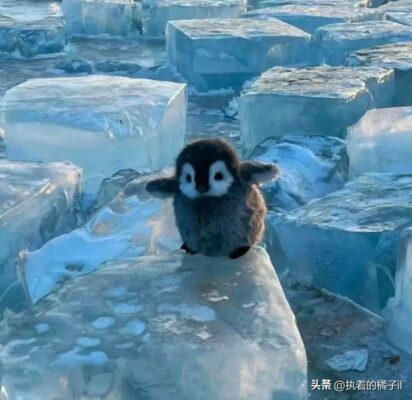 微信上怎么弄拍一拍功能(微信如何进行拍一拍)插图