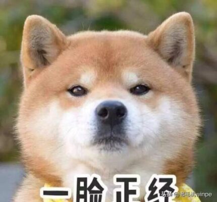 windows defender好用不(win10defender好用吗)插图