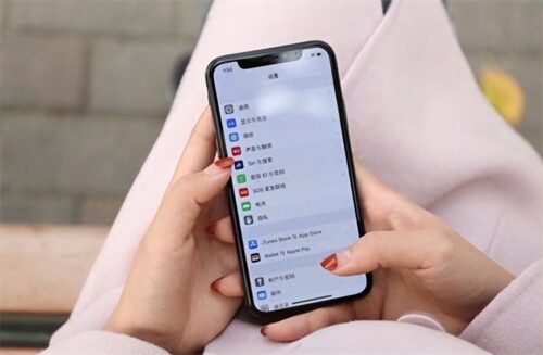 苹果10满电可以用多长时间(苹果10电池耐用吗)插图