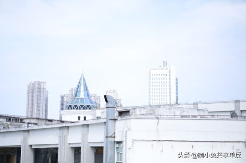 偏振镜的作用及效果(偏振镜的用法与功能)插图4