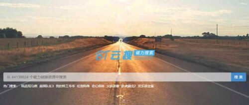 磁力最好(最高效磁力搜索引擎)插图2