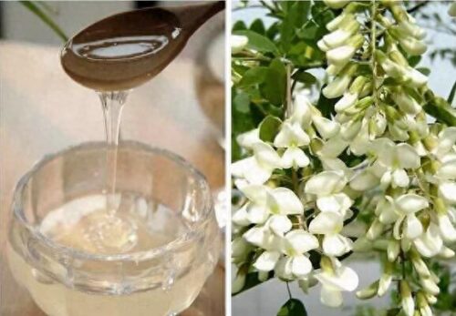 蜂蜜能放冰箱冷藏吗(蜂蜜可以放冰箱里吗_蜂蜜放冰箱好不好)插图