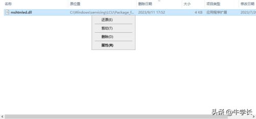 dll缺失怎么办(47.dll缺失)插图1