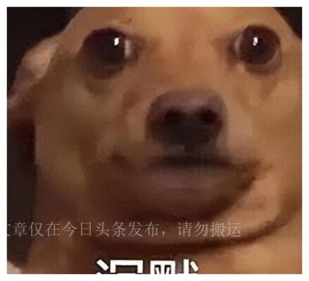 微信突然用不起(微信忽然用不了了)插图