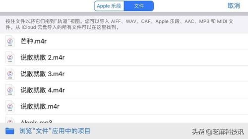 如何设置iphone6s铃声(怎么设置手机铃声苹果6s)插图38