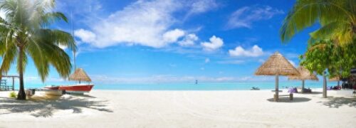 夏虫不可以语冰出处(夏虫不可以语冰典故)