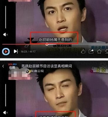 袁姗姗和陈晓主演的什么电影电视剧好看(袁姗姗和陈晓主演的什么电影电视剧名字)插图3