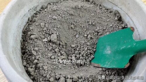 生姜怎么保存才不干(生姜怎样保存不烂不干)插图2