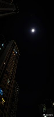 夜色撩人(寸寸销魂全本免费)插图4