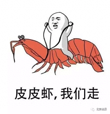 皮皮虾我们走歌名(皮皮虾我们走什么歌)插图