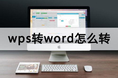 wps转换office文件格式(wps office转换word文档怎么转)插图