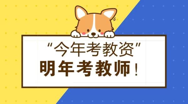 教资校考和国考证书一样吗(教资校考和国考有啥区别吗)插图2
