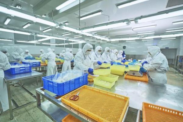 低学历适合考什么证(没有文凭能考什么证)插图