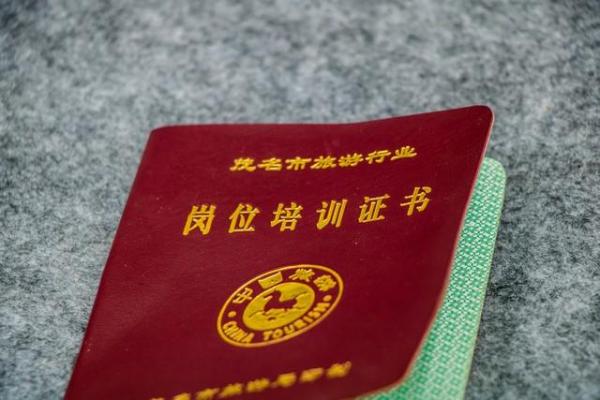 低学历适合考什么证(没有文凭能考什么证)插图1
