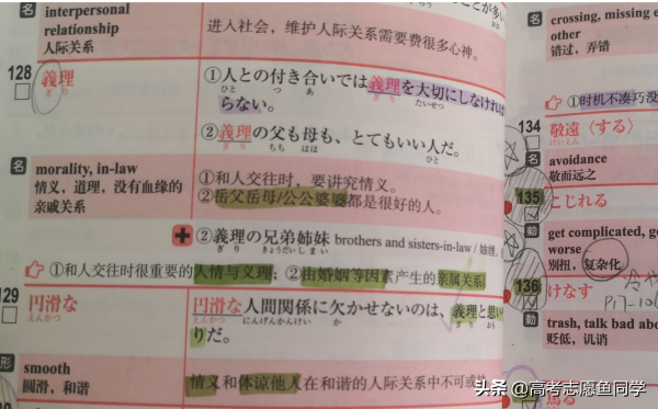 文科女生最吃香的专业(适合文科生报考的十大热门专业)插图2