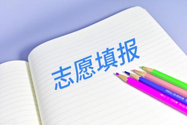 初三中考可以填几个志愿(中考怎么选学校报志愿)插图5