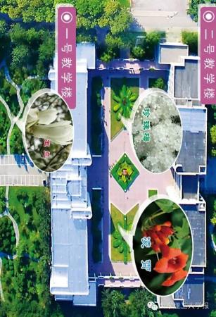 山东理工大学的花(山东理工大学十大校花)插图3