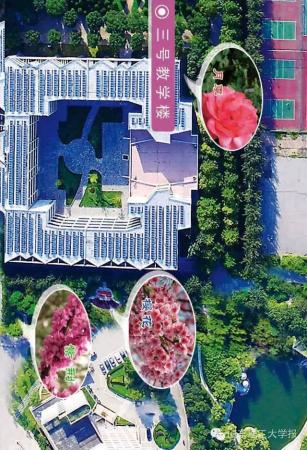 山东理工大学的花(山东理工大学十大校花)插图7