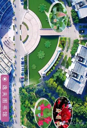 山东理工大学的花(山东理工大学十大校花)插图15