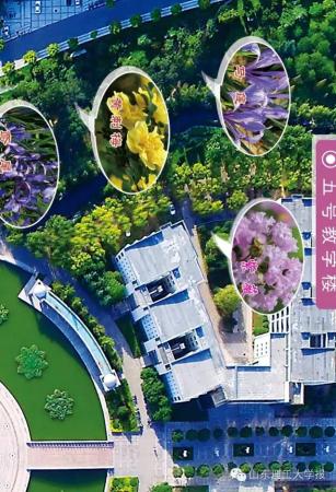 山东理工大学的花(山东理工大学十大校花)插图20