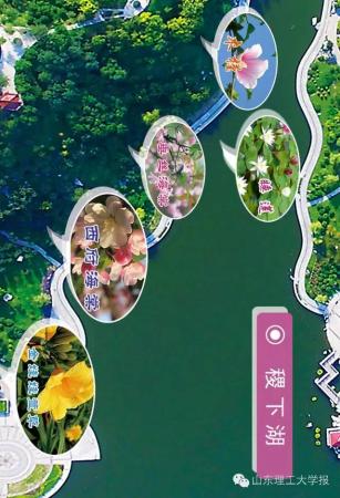 山东理工大学的花(山东理工大学十大校花)插图31