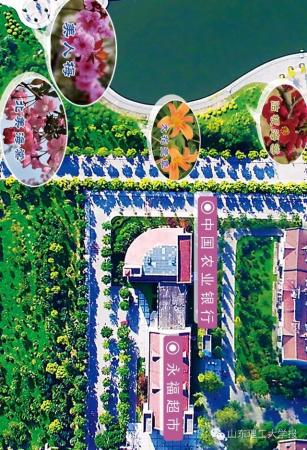 山东理工大学的花(山东理工大学十大校花)插图32