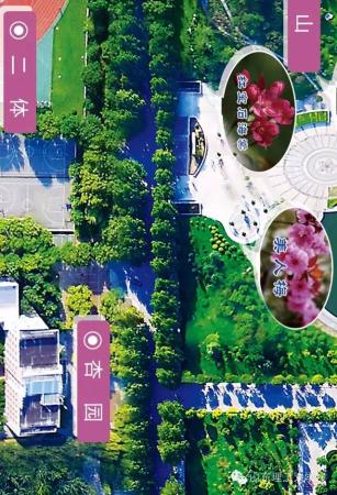 山东理工大学的花(山东理工大学十大校花)插图33