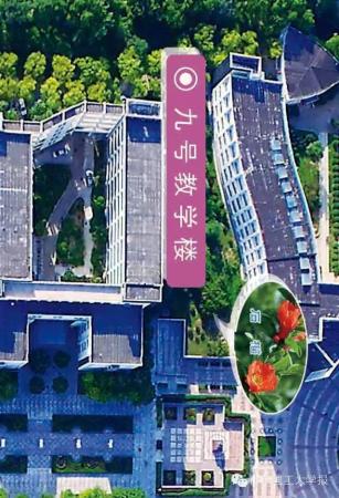 山东理工大学的花(山东理工大学十大校花)插图39