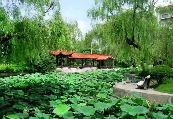 扬州大学广陵学院怎么样知乎(扬州大学广陵学院口碑怎么样)插图24