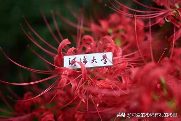 常州市河海大学是211吗(常州河海大学是不是211)插图4
