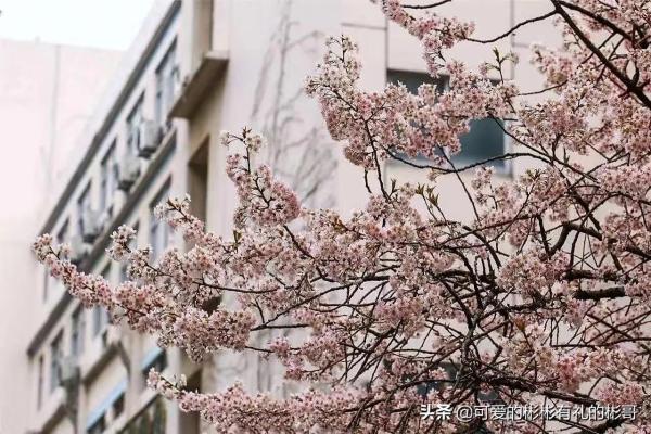 常州市河海大学是211吗(常州河海大学是不是211)插图9