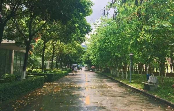 广东理工职业学院是大专还是中专(广东理工职业学院是大专还是本科)插图15