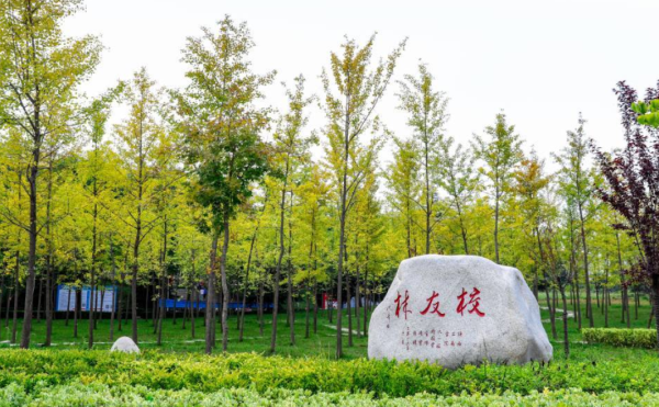 三江学院在江苏排第几(三江学院在江苏的知名度)插图7