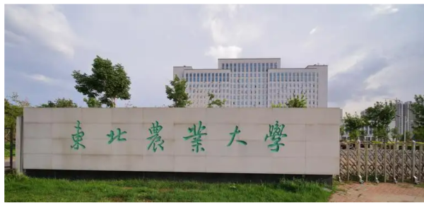 哈尔滨师范大学全国排名多少(哈尔滨师范大学全国排名多少名)插图5