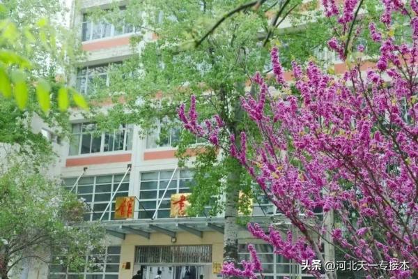 廊坊师院是一本吗(廊坊师范学院是本科还是专科)插图3