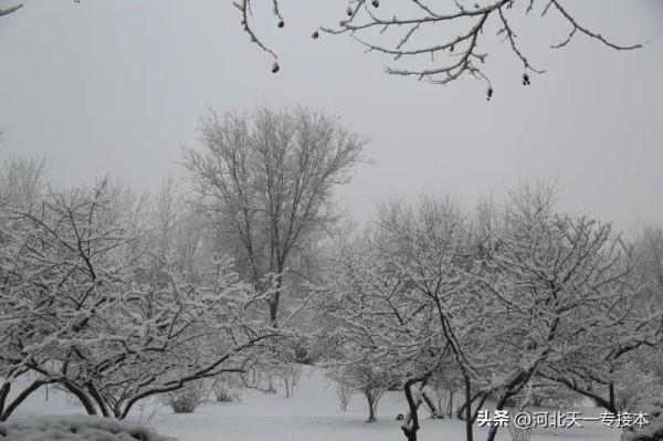 廊坊师院是一本吗(廊坊师范学院是本科还是专科)插图4