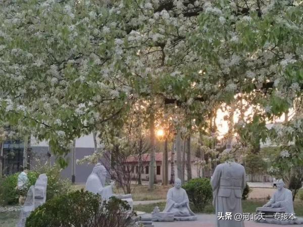 廊坊师院是一本吗(廊坊师范学院是本科还是专科)插图5