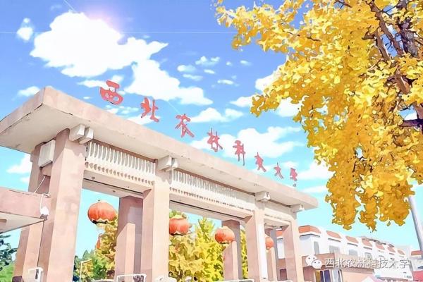 211大学都是哪些大学(985大学全部名单一览表)插图2