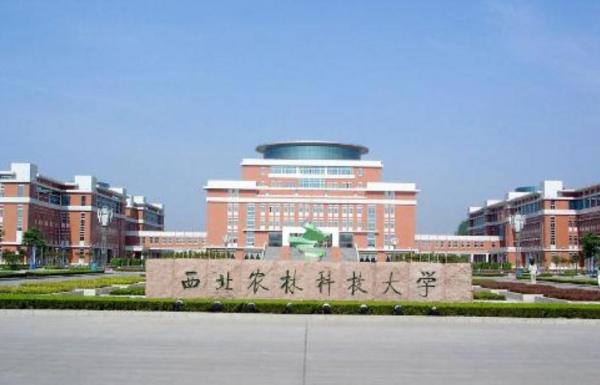 211和985加起来一共多少人(985和211加起来有多少所)插图4