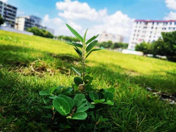 广州卫生职业技术学院是什么学历类别(广州卫生职业技术学院是大专吗)插图13